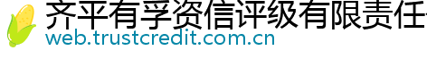 齐平有孚资信评级有限责任公司